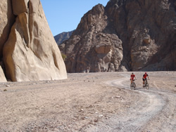 Bici nel deserto