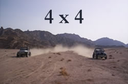 Jeep  nel deserto