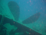 incontro con la storia Thistlegorm - elica